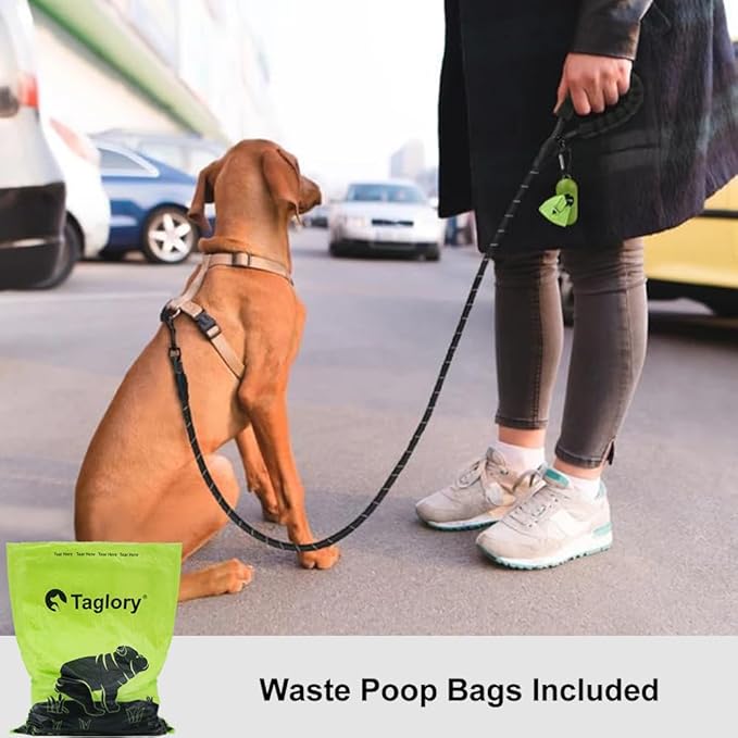 Taglory Rope Dog Leash 5 FT with Comfortable Padded Handle, Highly Reflective Threads Leash for Small Dogs, 3/8 inch, Black