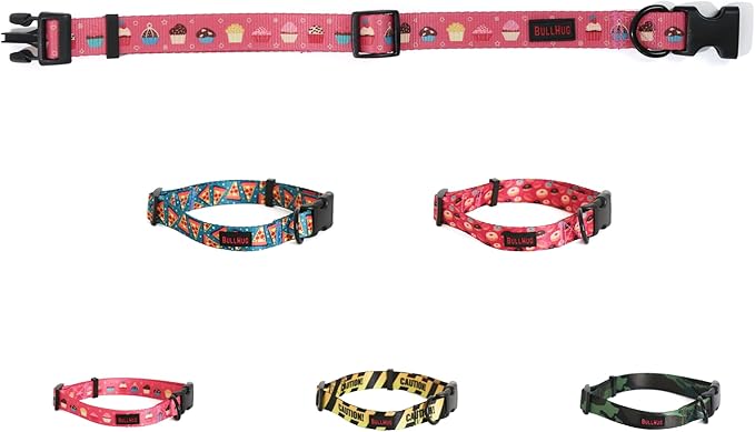 BULLHUG 6 FT Bulldog Leash with Padded Handle. Perfect for Bulldogs, French Bulldogs, Pugs & All Breeds. Leashes for Walking, Training Lead for Bulldogs (Rainbow TIE DYE)