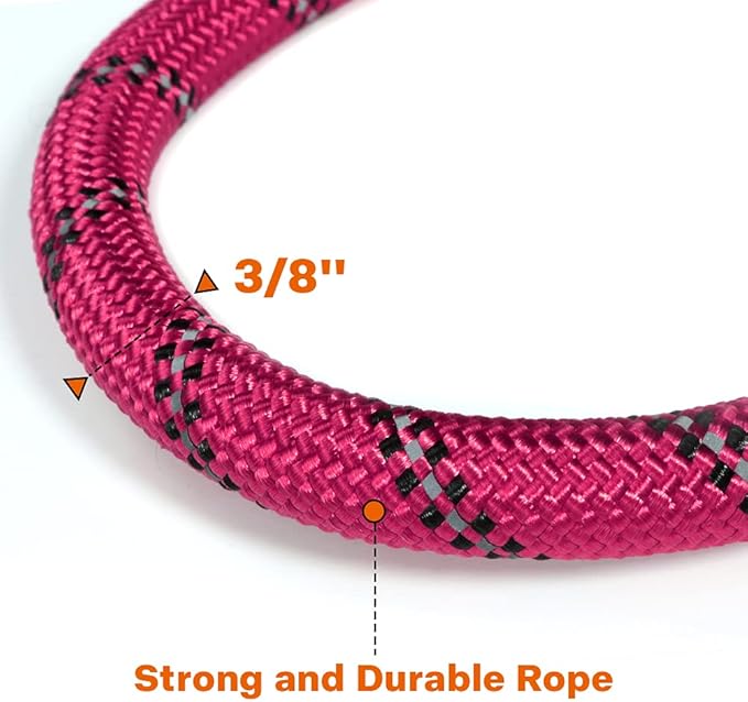 Taglory Rope Dog Leash 6 FT with Comfortable Padded Handle, Highly Reflective Threads Leash for Small Dogs, 3/8 inch, Hotpink