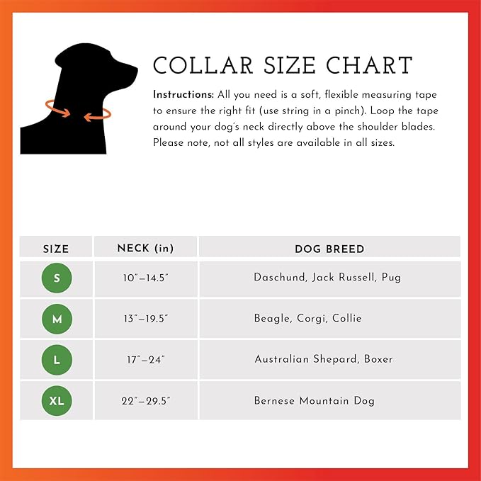 SPOT THE DOG! Reflective Dog Collar - Adjustable Pet Collars, Safe, Durable, Comfortable Dog Walking Accessories for Large Dog, Hunting Dog, Puppy, Lightweight Boy, Girl Dog Collars (Blaze Orange, L)