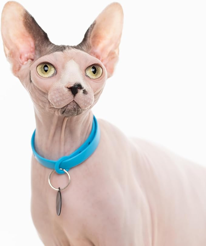 Silicone Cat Collars 2 Pack - Soft, Comfortable, and Lightweight Safety Breakaway Collar with Name Tag Ring for Outdoor Cats and Sensitive Skin Kittens by Nuvuq (6 ⅞" to 10 ¼", Blue)