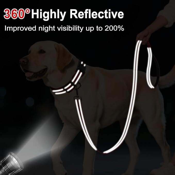 4FT Reflective Nylon Dog Leash with Soft Padded Handle for Walking, Running and Training, Supports Small Medium and Large Dogs (Red, 1 Inch Wide)