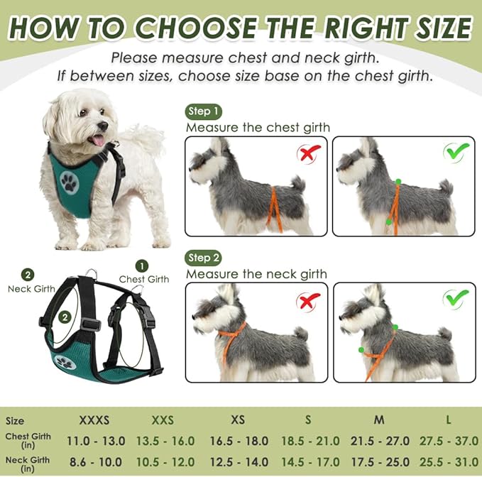 SlowTon Dog Seat Belt Harness for Car, Dog Car Harness Adjustable Mesh Breathable & Dog Seatbelt Safety Tether with Elastic Bungee for Small Medium Large Pets(Green, Double Clip, XS)
