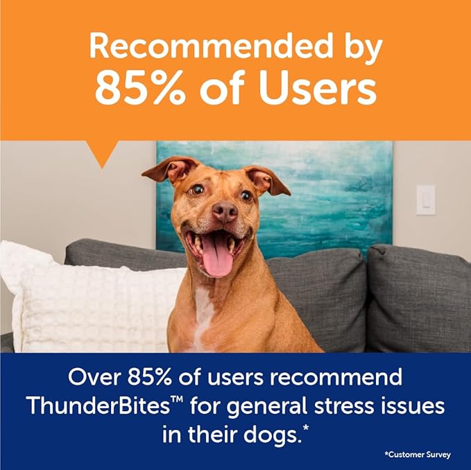 ThunderWunders Dog Calming Chews | Thiamine, L-Tryptophan, Melatonin and Ginger | Can Help Relieve Stress from Separation, Storms, Fireworks & Travel (60 Count)