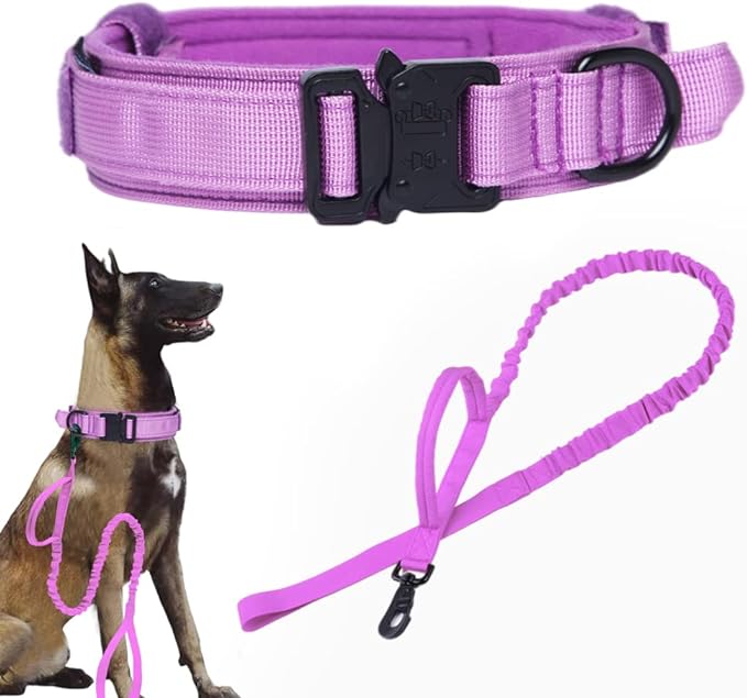 Tactical Dog Collar and Leash Set Tactical Dog Collar with Handle Bungee Leash Adjustable Military Training Nylon Collar Dog Training Collar Leash Set with Control Handleand Metal Buckle（Purple M