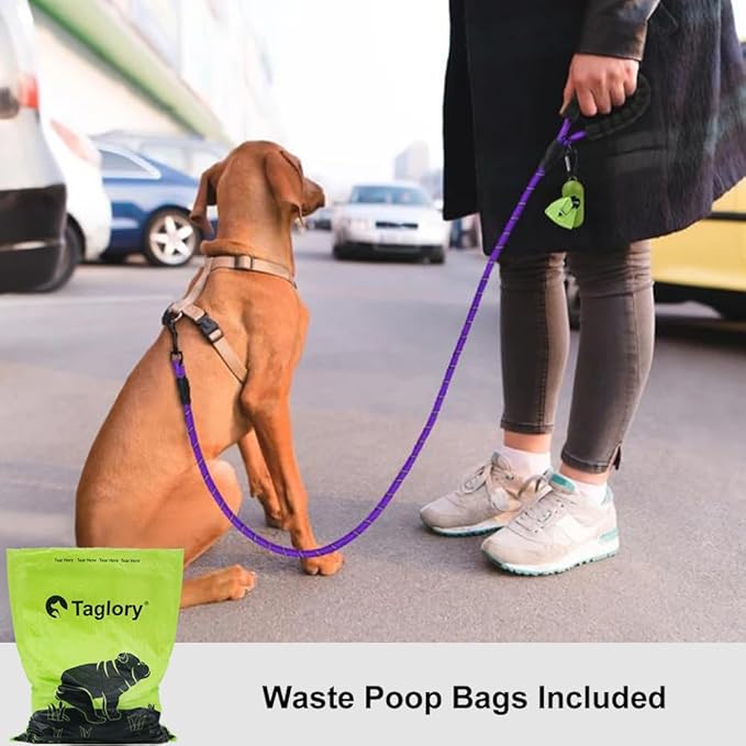 Taglory Rope Dog Leash 6 FT with Comfortable Padded Handle, Highly Reflective Threads Leash for Small Dogs, 3/8 inch, Purple