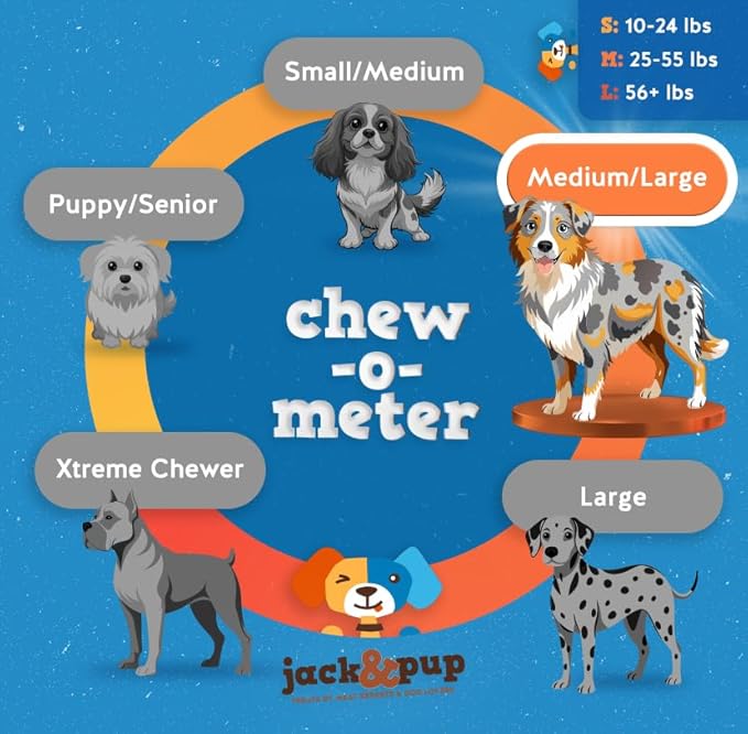 Jack&Pup 6 Inch Bully Sticks for Medium Dogs (3 Pack) Single Ingredient Dog Chews Long Lasting, Pizzle Sticks for Dogs