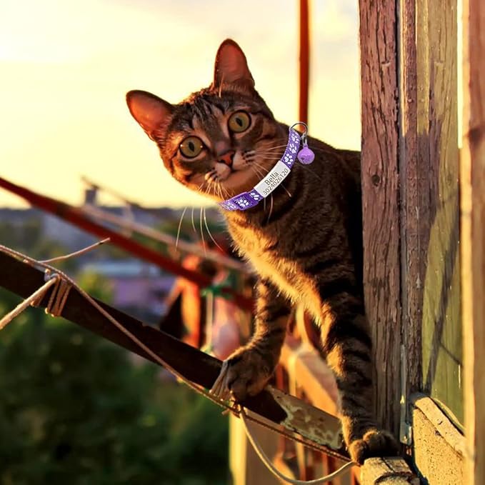 Personalized 2 Pack Reflective Cat Collar,Custom Breakaway Cat Collars with Name Tag and Bell,Anti-Lost Nameplate Cat Collar for Girls & Boys (Purple,fit 8''-11.0'')