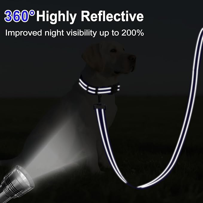 4FT Reflective Nylon Dog Leash with Soft Padded Handle for Walking, Running and Training, Supports Small Medium and Large Dogs (Royal Blue, 3/4 Inch Wide)