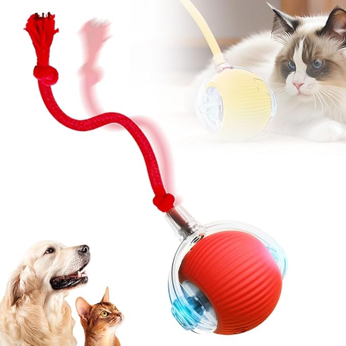 Interactive Cat Toy, 2025 New Cat Toy for Indoor Cats, Intelligent Rolling Ball Toys, Kitten Toys for Bored Indoor Cats/Dogs (Red)
