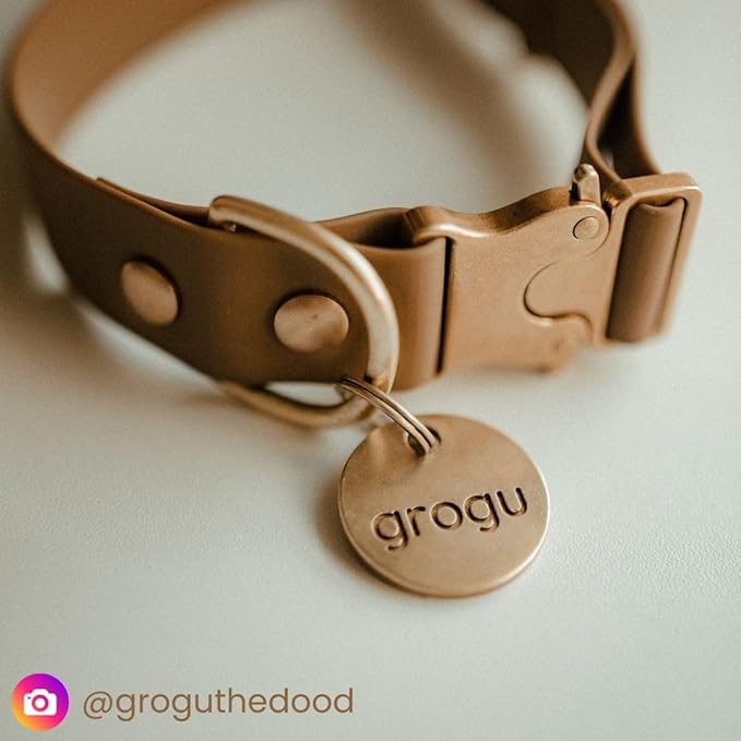 Solid Brass PET TAG - Modern, Minimal Pet IDs. Durable, Lifetime Tags with deep Cut Text. Includes Space for Two Phone Numbers. (Bell)