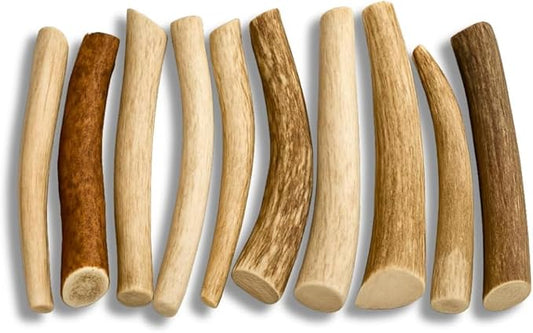 WhiteTail Naturals - Antlers for Small Dogs (10 Pack) Deer Antler Dog Chew Bones for Small Aggressive Chewers - Long Lasting Horn Chew Toys - Naturally Shed