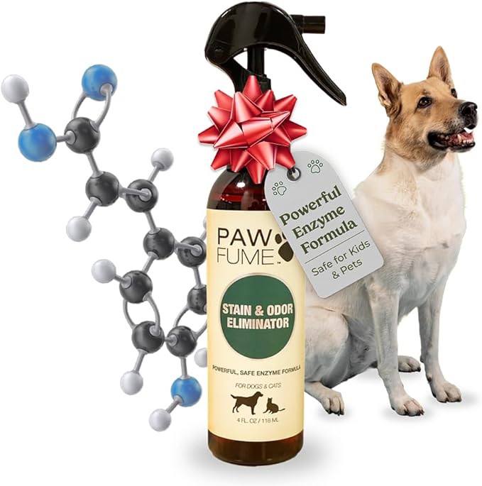 PAWFUME Stain & Pet Urine Odor Eliminator, 1-Pack – Removes Impurities in Seconds – Enzymatic Formula, Quick-Dry Action, & Eco-Friendly Ingredients – Upholstery, Fabrics, and Carpet Cleaner Spray