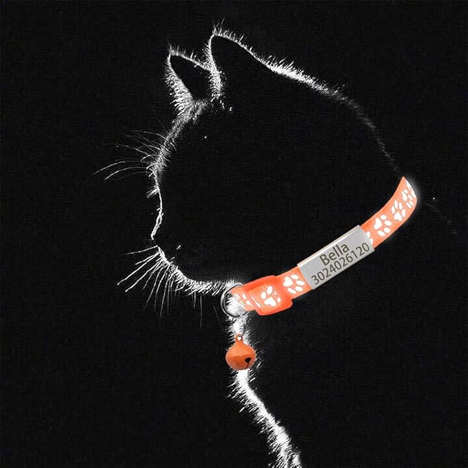 Personalized 2 Pack Reflective Cat Collar,Custom Breakaway Cat Collars with Name Tag and Bell,Anti-Lost Nameplate Cat Collar for Girls & Boys(Orange,fit 8''-11.0'')
