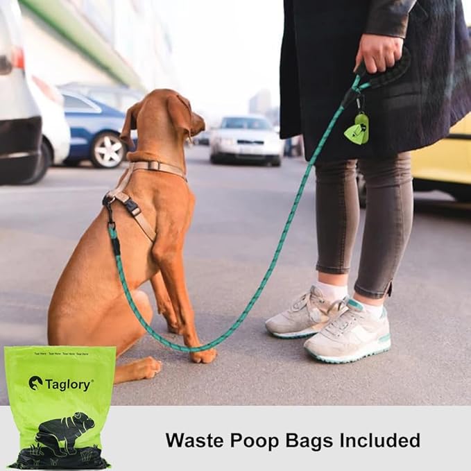 Taglory Rope Dog Leash 6 FT with Comfortable Padded Handle, Highly Reflective Threads Leash for Small Dogs, 3/8 inch, Turquoise