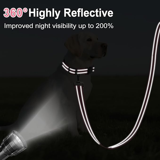 6FT Reflective Nylon Dog Leash with Soft Padded Handle for Walking, Running and Training, Supports Small Medium and Large Dogs (Neon Pink, 1 Inch Wide)