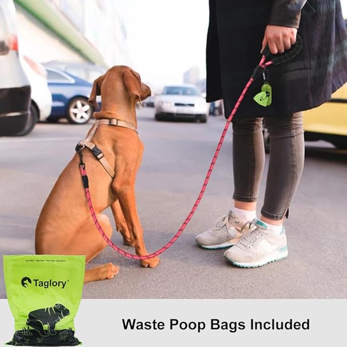 Taglory Rope Dog Leash 5 FT with Comfortable Padded Handle, Highly Reflective Threads Leash for Small Dogs, 3/8 inch, Pink