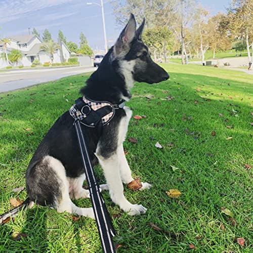 Joyride Harness 2-in-1 Leash with Seat Belt Combo, 43” Dual Use Pet Safety Seatbelt, Dual Handle and Car Safety Buckle, Thick Heavy Duty Nylon & Retractable Harness Clasp - Reflective Safety Stitching