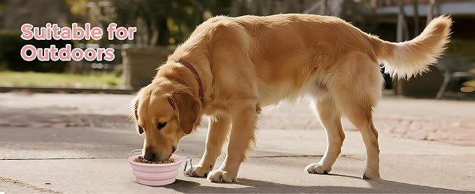 Large Breed Collapsible Dog Bowl, 2-Pack Food-Grade Silicone Collapsible Bowls, Outdoor Portable Pet Bowl, Dog Travel Water Bowl for Camping and Home