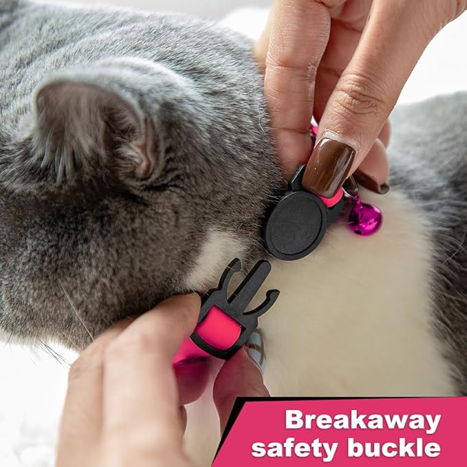 Personalized Cat Collars with Name and Phone Number |Custom Cat Collar with Breakaway Safety Release Buckle and Bells | Cute Waterproof PVC ID Collar for Boy and Girl Kitten Cat