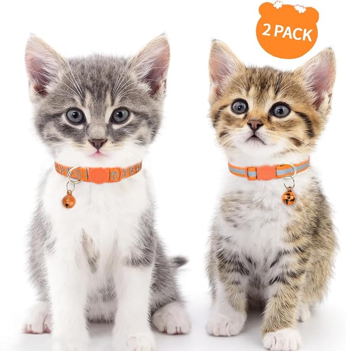 Taglory Kitten Collar Breakaway with Bell, 2 Pack Girl Boy Pet Kitten Collar Adjustable 6-8 Inch for 2-6 Months Cat, Orange