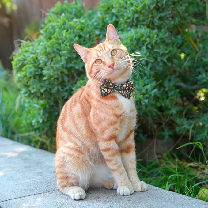 Ultra Joys Cat Collar with Bells - Breakaway for Kittens & Adults - Boy & Girl Cat Collars - Bowtie Mushroom Small