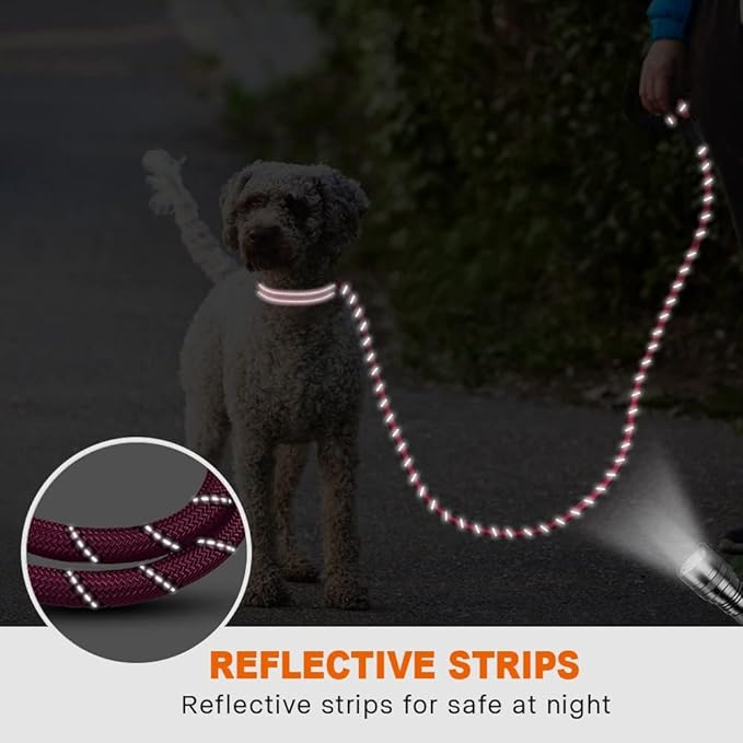 Taglory Rope Dog Leash 6 FT with Comfortable Padded Handle, Highly Reflective Threads Leash for Small Dogs, 3/8 inch, Hotpink