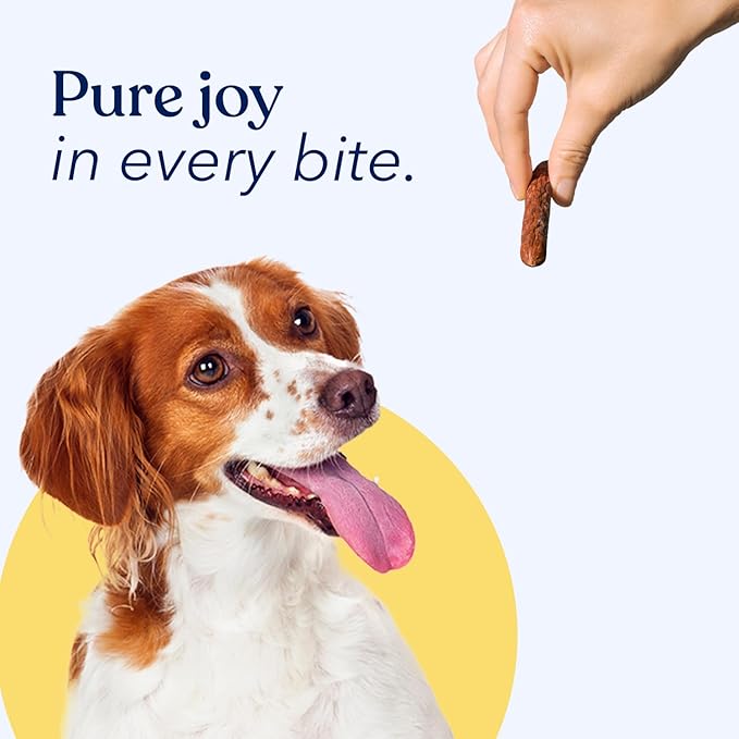 Honest Paws Dog Jerky Treats - All-Natural Jerky Dog Treats for Training Pets - Human Grade Bites - Real USA Beef