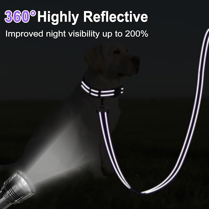 6FT Reflective Nylon Dog Leash with Soft Padded Handle for Walking, Running and Training, Supports Small Medium and Large Dogs (Purple, 1 Inch Wide)