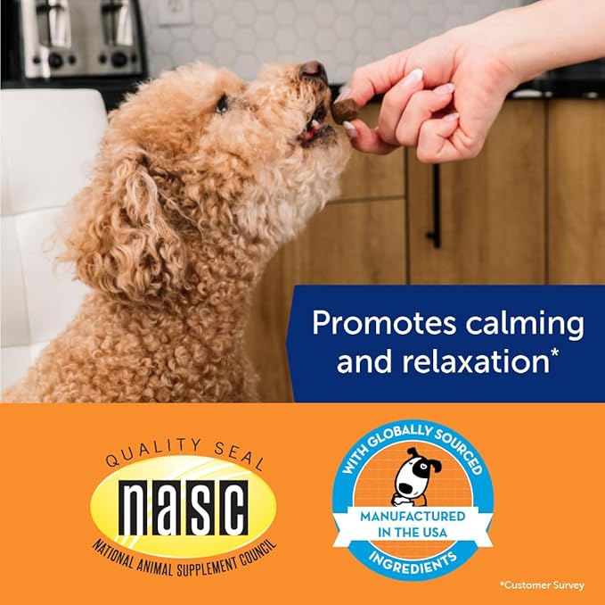 ThunderWunders Dog Calming Chews | Thiamine, L-Tryptophan, Melatonin and Ginger | Can Help Relieve Stress from Separation, Storms, Fireworks & Travel (180 Count)