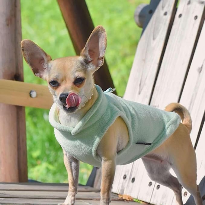 JACKO & CO - Fleece Vest Dog Sweater with Leash Ring - Soft, Warm & Lightweight Pullover Coat for Small & Medium Dogs, Puppies & Cats - Cozy Fall/Winter/Spring Pet Jacket (Mint Green, Large 10-16lbs)
