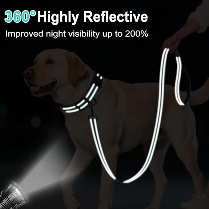 6FT Reflective Nylon Dog Leash with Soft Padded Handle for Walking, Running and Training, Supports Small Medium and Large Dogs (Turquoise, 3/4Inch Wide)