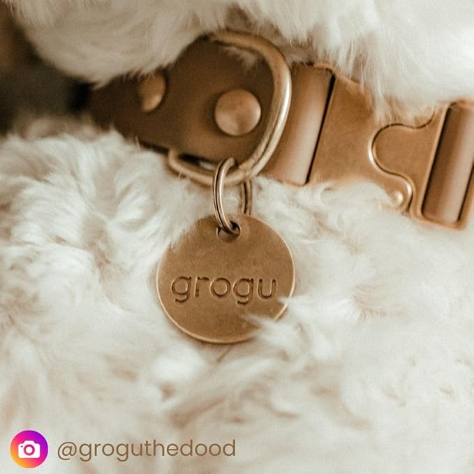 Solid Brass PET TAG - Modern, Minimal Pet IDs. Durable, Lifetime Tags with deep Cut Text. Includes Space for Two Phone Numbers. (Arch Mini)