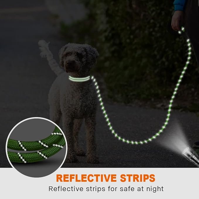 Taglory Rope Dog Leash 4 FT with Comfortable Padded Handle, Highly Reflective Threads Leash for Small Dogs, 3/8 inch, Green