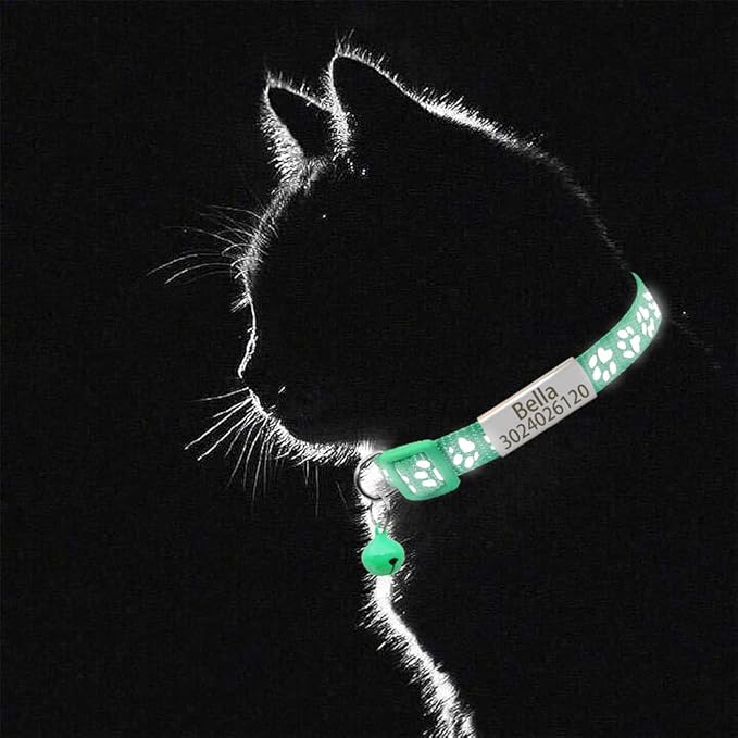 Personalized 2 Pack Reflective Cat Collar,Custom Breakaway Cat Collars with Name Tag and Bell,Anti-Lost Nameplate Cat Collar for Girls & Boys (Green,fit 8''-11.0'')