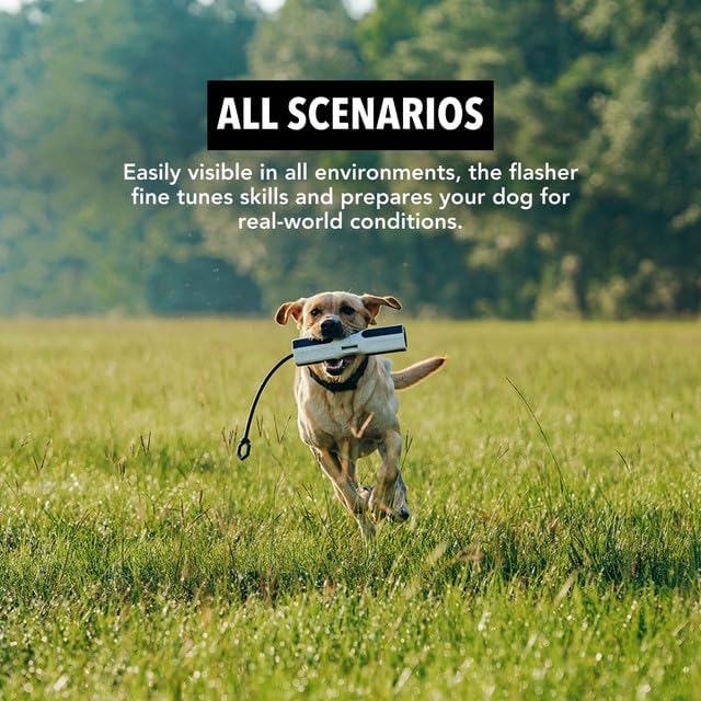 GUNNER Dog Training Bumper - Retriever Training Dummy, Retrieving Dummies for Pets, Bumpers for Water Retrieving with Adjustable Rope, (Flasher)