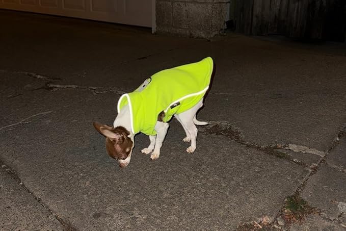 JACKO & CO - Fleece Vest Dog Sweater with Leash Ring - Soft, Warm & Lightweight Pullover Coat for Small & Medium Dogs, Puppies & Cats - Cozy Fall/Winter/Spring Pet Jacket (Lime Green, XS 2-4lbs)