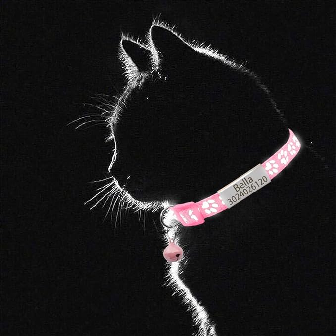 Personalized 2 Pack Reflective Cat Collar,Custom Breakaway Cat Collars with Name Tag and Bell,Anti-Lost Nameplate Cat Collar for Girls & Boys (Pink,fit 8''-11.0'')