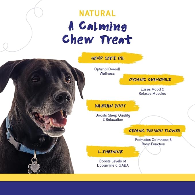 PupGrade Calming Soft Chews - Promotes Relaxation & Helps Manage Stress for All Dogs - Supports Calm Stomachs & Muscles - No Wheat, Corn, or Artificial Ingredients - Meat Flavored - 180 Soft Chews