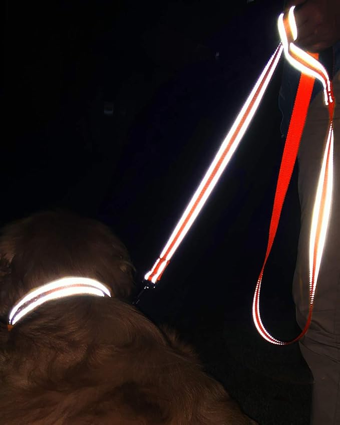 Joytale Double-Sided Reflective Dog Leash, 6 FT/5 FT/4 FT, Padded Handle Nylon Heavy Duty Leashes for Medium & Large Dogs Walking, Orange, 6FT