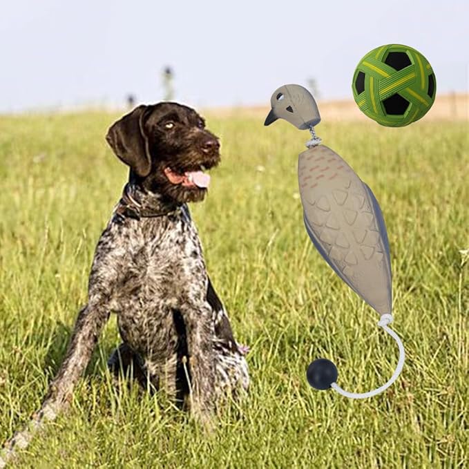 Dead Bird Dummy Bumper for Hunting Dog Training - EVA Foam Dog Toy Decoy for Outdoor Waterfowl Retriever (Training Ball Included)