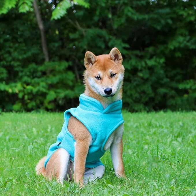 JACKO & CO - Fleece Vest Dog Sweater with Leash Ring - Soft, Warm & Lightweight Pullover Coat for Small & Medium Dogs, Puppies & Cats - Cozy Fall/Winter/Spring Pet Jacket (Turquoise, X-Small 2-4lbs)