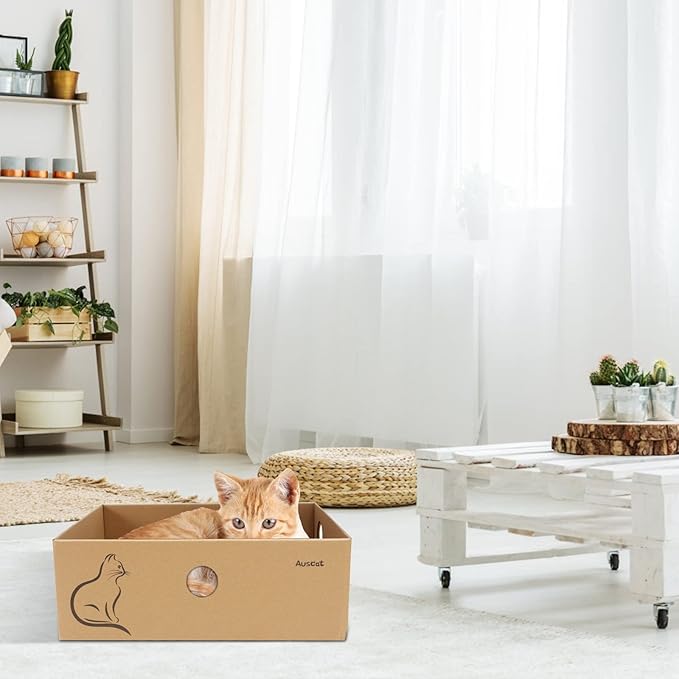 AUSCAT Cat Cardboard Scratcher, 4 PCS Reversible Cat Scratching Boards with Box for Indoor Kitty to Rest and Play, 14.8" L x 10.8" W x 5.2" H.