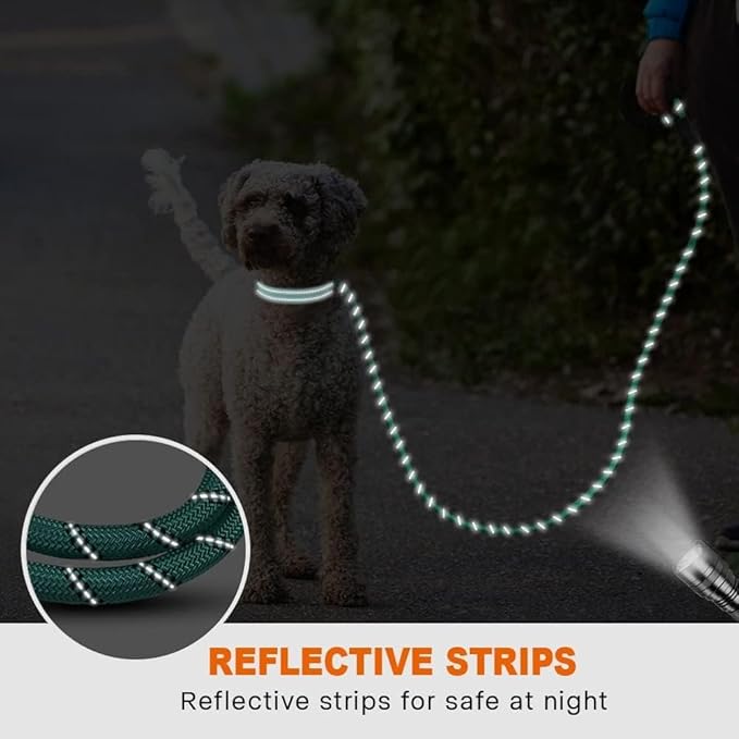 Taglory Rope Dog Leash 4 FT with Comfortable Padded Handle, Highly Reflective Threads Leash for Small Dogs, 3/8 inch, Turquoise