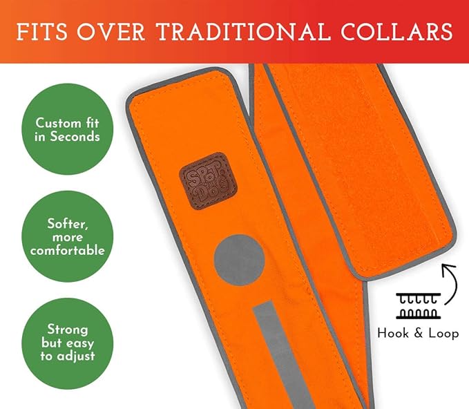 SPOT THE DOG! Reflective Dog Collar - Adjustable Pet Collars, Safe, Durable, Comfortable Dog Walking Accessories for Medium Dog, Hunting Dog, Puppy, Lightweight Boy, Girl Dog Collars (Blaze Orange, M)