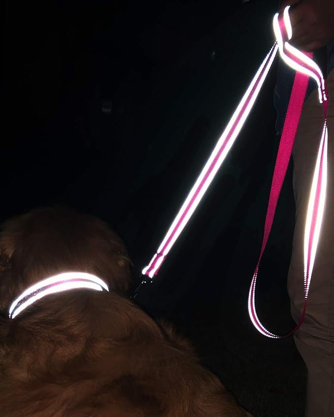 Joytale Dog Leash, 6 FT Double-Sided Reflective, Padded Handle Nylon Heavy Duty Leashes for Medium & Large Dogs Walking, Hotpink