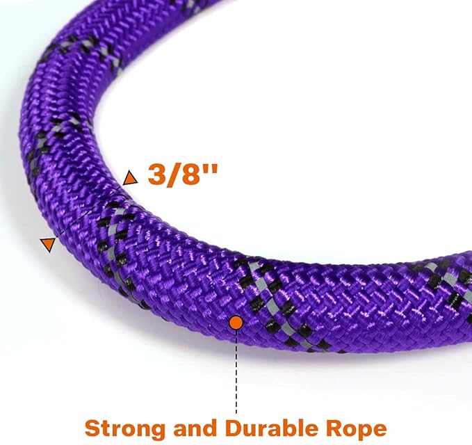 Taglory Rope Dog Leash 6 FT with Comfortable Padded Handle, Highly Reflective Threads Leash for Small Dogs, 3/8 inch, Purple