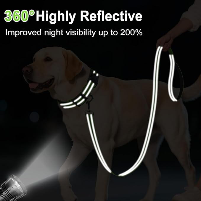 6FT Reflective Nylon Dog Leash with Soft Padded Handle for Walking, Running and Training, Supports Small Medium and Large Dogs (Green, 1 Inch Wide)