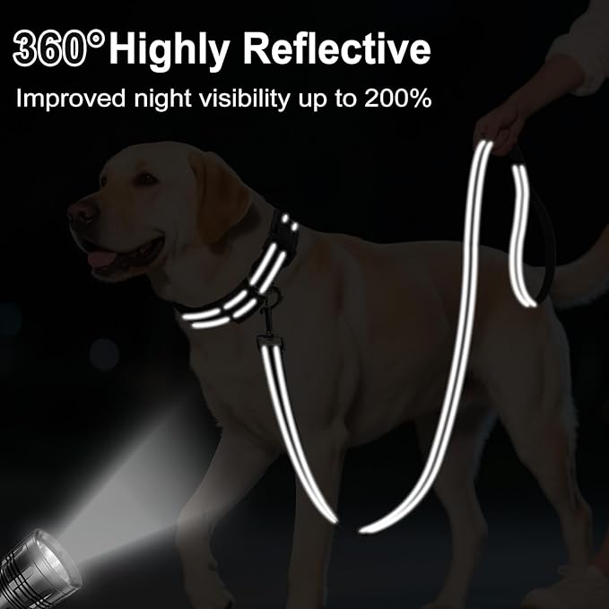 6FT Reflective Nylon Dog Leash with Soft Padded Handle for Walking, Running and Training, Supports Small Medium and Large Dogs (Black, 1 Inch Wide)