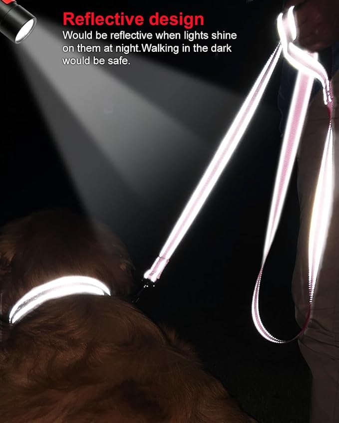 Joytale Double-Sided Reflective Dog Leash, 4 FT, Padded Handle Nylon Heavy Duty Leashes for Medium & Large Dogs Walking, Pink